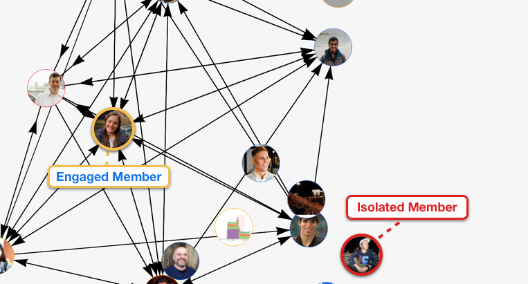 Screenshot highlighting isolated Community Member and well-connected Community Member in network graph
