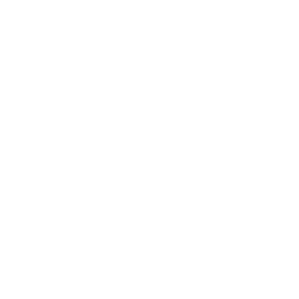 logo-small-white 1.png